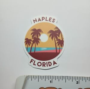 10/$10 Florida Naples Ocean Beach Coastal Palm Tree Phone Laptop Decal Sticker